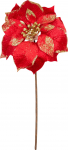 J&otilde;ululill MagicHome, Poinsettia, punane, vars, pakis 6 tk