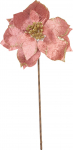 J&otilde;ululill MagicHome, Poinsettia, roosa, vars, pakis 6 tk.
