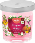 Bolsius Floral Fusion jasmiini- ja mangok&uuml;&uuml;nal, l&otilde;hnastatud, 80/72 mm, klaasist