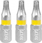 Strend Pro lisad, TX 20, pakis 3 tk