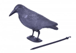 Hernehirmutis Raven must, 38 cm