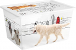 Kaanega karp KIS C Style Pets XL, 50 lit., 39x55x31 cm