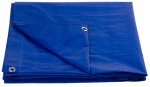 Present 80 g/m 06x10m Strend Pro, sinine