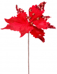 J&otilde;ululill MagicHome, Poinsettia, punane, vars, 31 cm