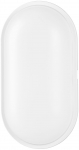 Strend Pro vaheseinalamp, SMD LED 2835, 1600 lm, lakke ja seinale, ovaalne, IP65