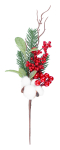 MagicHome oksake marjade ja puuvillaga, 34 cm