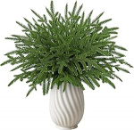 DEMIUKO Pack of 40 Christmas Norfolk m&auml;nni oksad 35 cm kunstlik kuuse oksad nagu t&otilde;eline roheline m&auml;nni oksad Norfolk t&uuml;ved DIY Garland j&otilde;ulukingi p&auml;rg oksad j&otilde;uludeks kaunistamiseks kingituseks