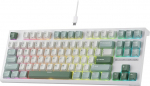 RK ROYAL KLUDGE C87 HE Rapid Trigger Gaming Keyboard, 87 klahvi TKL juhtmega mehaaniline RGB, Hall Effect magnetiline l&uuml;liti reguleeritava p&auml;&auml;stepunktiga, 8kHz prooviv&otilde;tusagedus, FPS Gamer, QWERTY