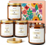 AOOVOO l&otilde;hnak&uuml;&uuml;nlad kinkekomplekt - 4 x 255 g, looduslik sojavaha, k&auml;sitsi valmistatud l&otilde;hnak&uuml;&uuml;nal klaasis, kvaliteetne aroomiteraapiak&uuml;&uuml;nalde kinkekomplekt naistele, p&otilde;lemisaeg 200 tundi