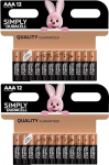 Duracell Plus Power Type AAA leelispatareid, 24 tk.