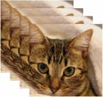 Kangast laualusad, pestavad laualusad s&ouml;&ouml;gilauale, 4 tk komplekt, Animal Catcato