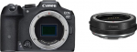 Canon EOS R7 Camera Mirrorless Camera & Bayonet Adapter EF-EOS R with Lens Control Ring for EOS R System Cameras Compatible with EF and EF-S Lenses Black