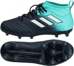 Shoes adidas ACE 17.1 FG J 33