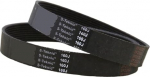 1 t&uuml;kk 150J Gummif&ouml;rderband 152J 155J 157J 160J 162J 164J 165J 170J 172J Riemenantriebsriemen Fettabbaumaschine 3/4/5/6/7/8/9/10 Rippen(10ribs,172J-PJ437)