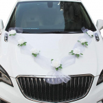 Noa Home Deco - Autodekoratsioon Pulmadekoratsioon Pulmadekoratsioon Pulmadekoratsioon Auto Ehted pruutpaar roosi kaunistus Pulmadekoratsioon (valge)