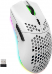 Juhtmevaba m&auml;nguhiir, 2.4G Super Lightweight Honeycomb Shell Ergonoomiline RGB hiir 750 mAh akuga, energias&auml;&auml;stlik disain, 6 nuppu ja mini USB vastuv&otilde;tja Windows, Mac OS, s&uuml;learvuti, Smart TV (valge)