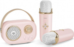 PRUNUS laste karaoke masin 2 mikrofoniga, minikaraoke komplekt stereoh&auml;&auml;le ja tugeva bassiga kodupidu, kingitus Brithday'ks, j&otilde;uludeks, 6 heliefektiga t&uuml;drukutele ja poistele. (Roosa)