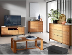 Elutoa m&ouml;&ouml;bli komplekt 4 Lowboard TV Board kohvilaud sahtlituba kapp Sideboard Modern Oak