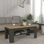[en.casa] Krirdfjos kohvilaud 110 x 60 x 47 cm Ristk&uuml;likukujuline diivanilaud 1 riiuliga kohvilaud Antratsiit / Safiiri tammepuust