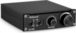 Nobsound G2 PRO 300W Mini HiFi subwoofer / Full Frequency Mono v&otilde;imsusv&otilde;imendi Audio Amplifier (v&otilde;imendi)