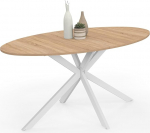 IDMarket - Alix ovaalne s&ouml;&ouml;gilaud 8-kohaline Spider alus puidust ja valge 150cm