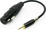 Ablet 2,5 mm TRRS mees 4-poolne XLR emas audioadapter Astell&Kern AK240 AK380 AK320 onkyo DP-X1 FIIO X5III XDP-300R jaoks