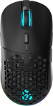 Newskill Arakne Elite Professional Gaming Mouse RGB 16000 DPI kahepoolse disainiga k&uuml;lgmised nupud ja &uuml;lemine kate (must)