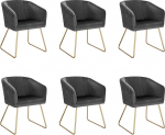 WOLTU BH271dgr-6 S&ouml;&ouml;gitoa toolid, 6 tooli, k&ouml;&ouml;gitoolid, polsterdatud toolid, garderoobitool, elutoa tool, tugitool k&auml;etugedega, sametist iste, kuldsed metalljalad, tumehall