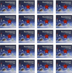 Pakis 20 j&otilde;uluk&uuml;&uuml;nla, j&otilde;uluk&uuml;&uuml;nla, p&uuml;ramiidk&uuml;&uuml;nla umbes 13 x 105 mm Punane