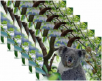 Stoff-Tischsets, waschbare Tischsets f&uuml;r Esstisch, 6er-Set,Tierischer Koala auf Baum