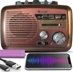 Retoo Radio Bluetooth FM Retro Nostalgia Case in Wood Look Vintage Radio Kompaktne s&uuml;steem toetab USB SD kaardipesa Lihtne k&ouml;&ouml;giraadio kontorisse Kodu eakate jaoks