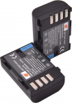 DSTE 2-pack asendusaku Panasonic DMW-BLF19E Lumix DMC-GH3 DMC-GH3A DMC-GH3AGK DMC-GH3GK DMC-GH3H DMC-GH3HGK DMC-GH3KBODY DMC-GH4H DMC-GH4 kaamerale DMC-GH4