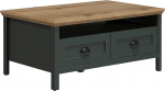 trendteam smart living - Stanton - kohvilaud - kuuse roheline / Evoke tamm - diivanilaud lisariiuli ja 2 sahtliga - (B x K x S) 101 x 45 x 60 cm - Maja stiilis