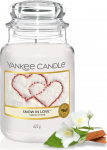 Yankee Candle Suur l&otilde;hnak&uuml;&uuml;nal