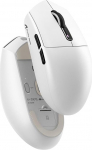 MAMBASNAKE x Attack Shark G3 traadita m&auml;nguhiir, 59g kerge hiir, PAW3311 optiline andur, 25000 DPI, Bluetooth/2.4G/USB-C, 5 programmeeritavat nuppu, 500mAh aku PC/Xbox/Mac - valge