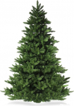 STAR CHRISTMAS Bukaresti puu 922 oksaga, 240 cm, roheline, PVC, roheline, 240