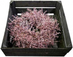 Imeline spargelp&auml;rg Vahaga kaetud looduslik j&otilde;ulup&auml;rg Dekoratiivne p&auml;rg / p&auml;rg / vahaga kaetud rippuv p&auml;rg / lauap&auml;rg / spargelp&auml;rg / spargelp&auml;rg