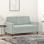 Juroupi 2-Sitzer-Sofa Diivan 2 Sitzer Loveseat Diivanid F&uuml;R Wohnzimmer Diivan Loveseats Hellgrau 120 cm Samt - 359432
