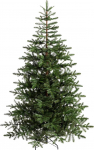 WeRChristmas Nordmann Fir, Christmas Tree, Plastic, Green, 1.8 Metres