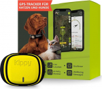 Kippy GPS Tracker Collar Evo koertele ja kassidele - Tervise ja aktiivsuse j&auml;lgimisseadmed - GPS j&auml;lgimisseadmed kassidele - veekindel GPS j&auml;lgimisseade - kohese h&auml;ire ja LED-iga j&auml;lgimisseadmed - kollane