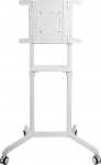 PureMounts TV Standfu&szlig;, kompatibel mit Samsung Flip, Microsoft Surface Hub 2S, matt-wei&szlig;, kuni vesa 600x400