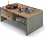 Stella Trading INA kohvilaud Reed Green, k&auml;sit&ouml;&ouml;nduslik tamme v&auml;limus, FSC sertifitseeritud, kaasaegne diivanilaud sahtlitega elutuppa, 110 x 44 x 65 cm (B x K x S)