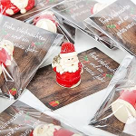 Logbuch-Verlag 10 v&auml;ikest kingitust J&otilde;uluvana + kaart R&otilde;&otilde;msaid j&otilde;ulupidu kott Give-Away aastavahetuse uus aasta