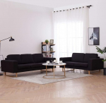 LAPOOH 2-osaline diivanikomplekt, diivanvoodi, diivanvoodi, diivanvoodi, l&otilde;&otilde;gastav diivan, diivanid ja diivanid, kangas, must