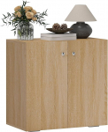 HOMCOM Multi-Purpose Cabinet with 2 Doors, Living Room or Office Cabinet Made of Wood with Aluminium Handles, 70 x 39 x 70 cm