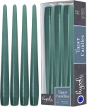 Hyoola Taper Candles - 25 cm Salveiroheline, tilgavaba lauak&uuml;&uuml;nal - K&uuml;&uuml;nlad pikk p&otilde;lemisaeg 8 tundi - 12 tk.