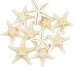 Yixuan LLC Starfish, Mixed Starfish, Natural, Colourful Shells, Perfect for Wedding, Beach, Theme Party, Home Decoration, Crafts, Aquarium, Fishing Net Decoration (Pack of 10)