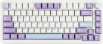 MechLands AK820 MAX HE Hall Effect Magnetic Gaming Keyboard, Reguleeritav k&auml;ivitamine, 8KHz Polling Rate, Wired Rapid Fast Keyboard, Creamy, RGB, NKRO for Win/Mac, QWERTY (valge)
