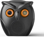 Ai Smart WiFi kaamera siseruumides isiku tuvastamine ja muusika taasesitus HD kaamera k&otilde;lariga Smart Camera Alarm Infrapunane &ouml;&ouml;n&auml;gemine (must)