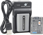 DSTE NP-FP50 Li-ion Battery (Pack of 2) and USB Charger Compatible with Sony DCR-DVD103, DCR-DVD105, DCR-DVD203, DCR-DVD205, DCR-DVD305, DCR-DVD92, DCR-HC20